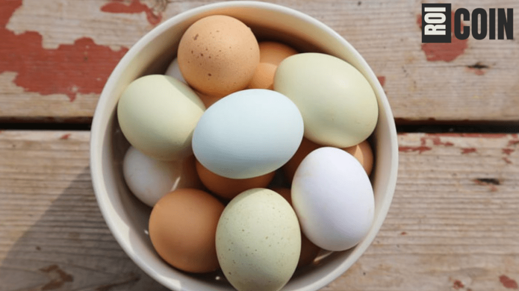 how long are fresh eggs good for