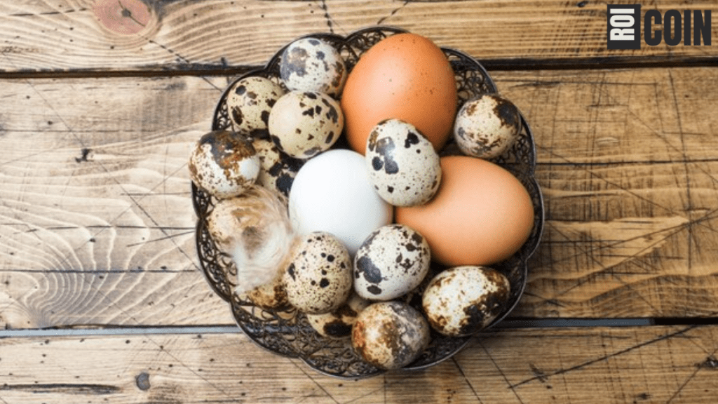 how long are fresh eggs good for